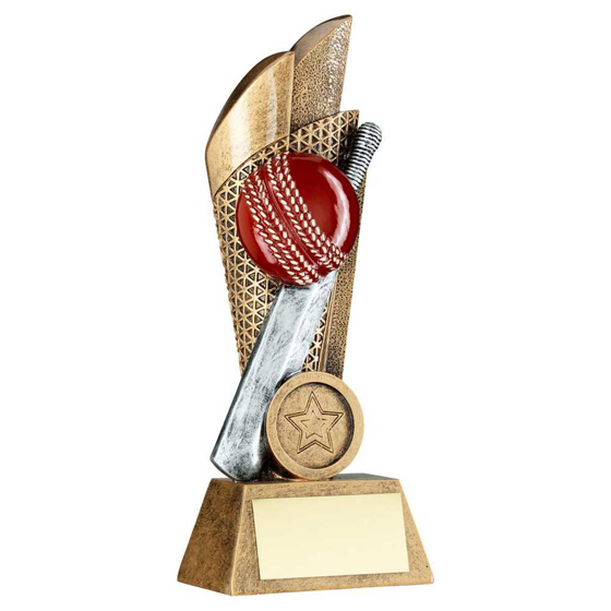 Picture of Brz/pew/gold Cricket Ball And Bat On Mesh Backdrop With Plate (1in Cen) - 5in